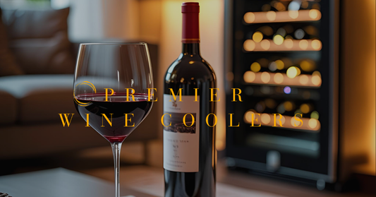 Glass of red wine on coffee table with wine cooler in background