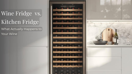 Wine fridge vs kitchen fridge comparison showing a built-in wine cooler in a modern kitchen with bottles stored horizontally